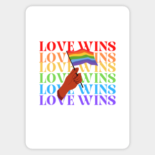 Love Wins Sticker